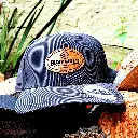 20250207_075458_sqr.webp