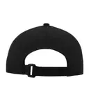 Black_Back_e436775a-22e2-42a0-87fc-4cd23d65059a.webp